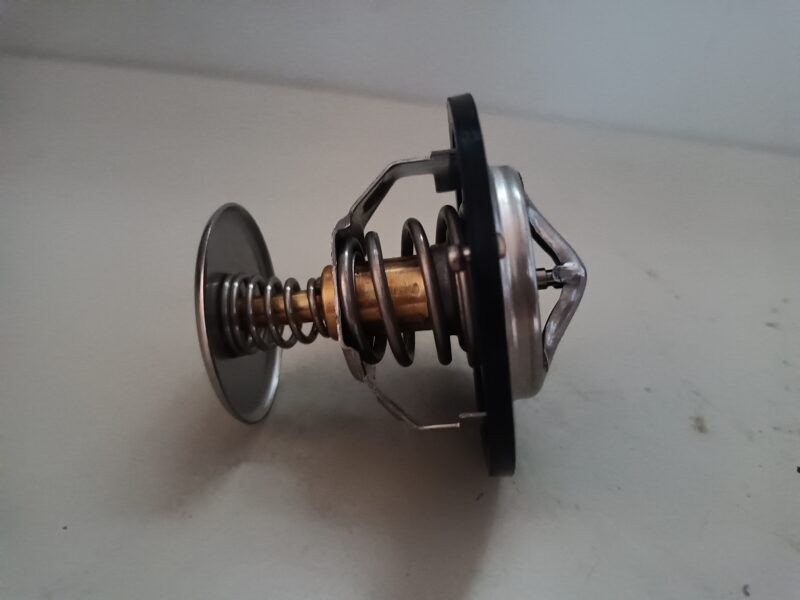 Termostats  (80 gr.)